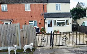 The Beehive - Self Catering In The Heart Of The Forest Of Dean